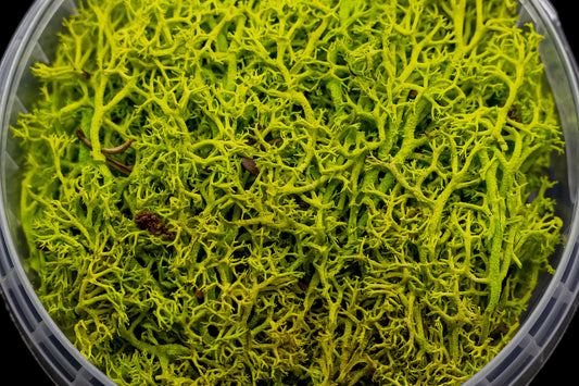 Toxic Hedge Basing material