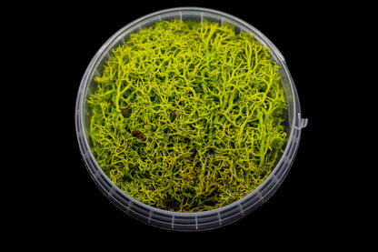 Toxic Hedge Basing material