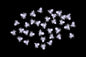Spider Set Miniature Basing Scatter