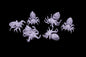 Forest Spiders 3D Printed Miniature Basing Scatter