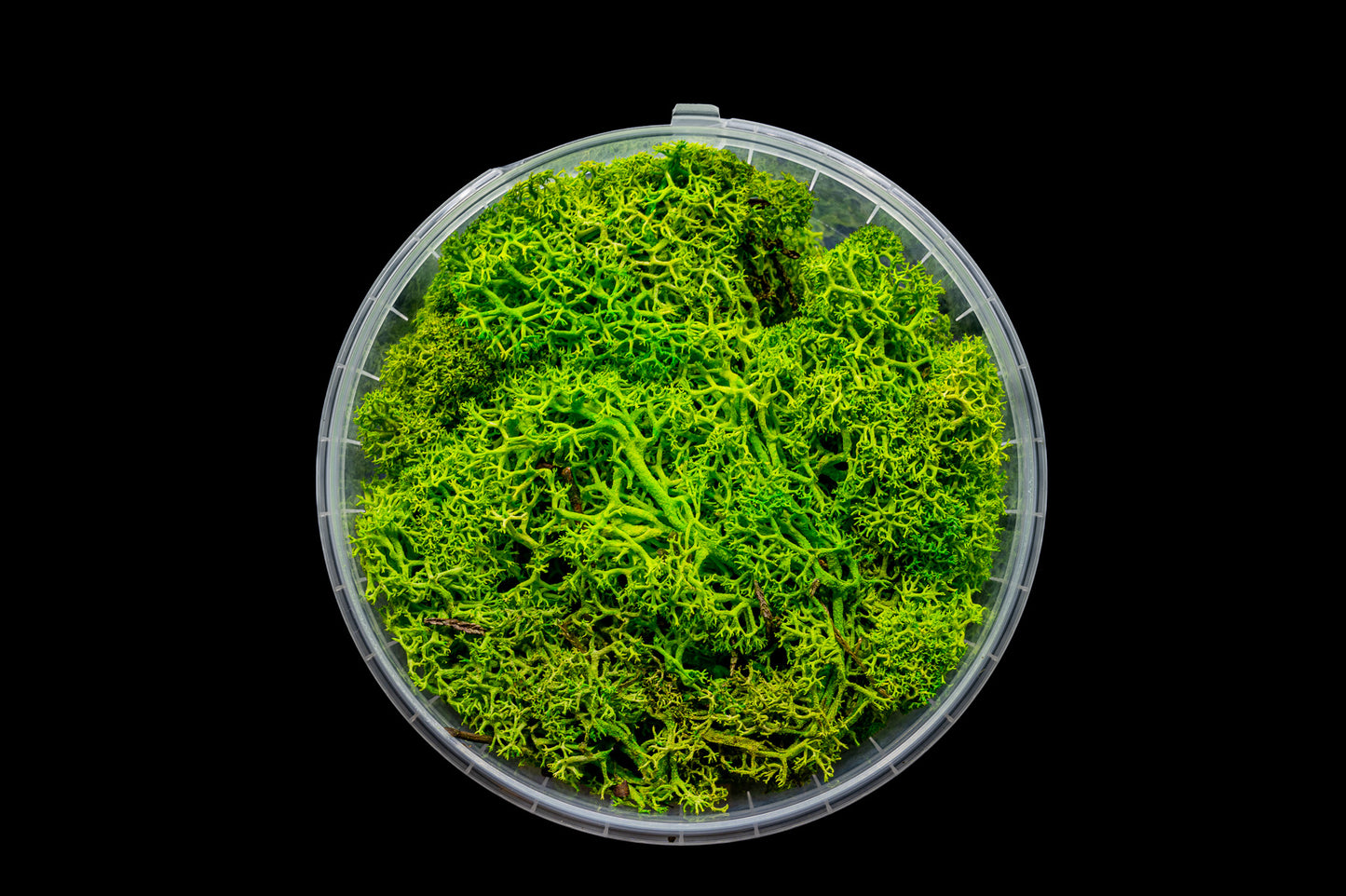 Lush Hedge Basing material