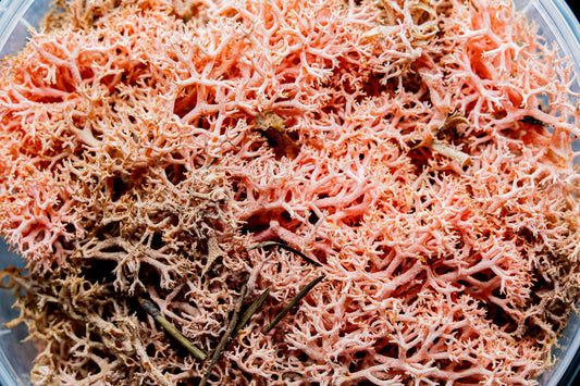 Mutated Hedge Basing material