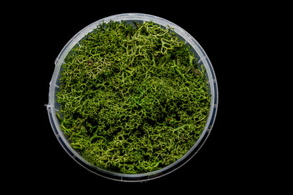 Green Hedge Basing material