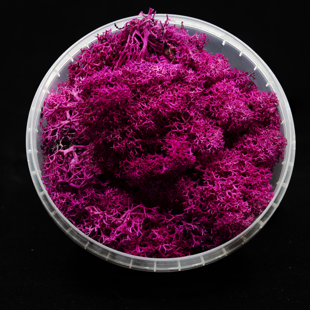 Coral Red Hedge Basing material