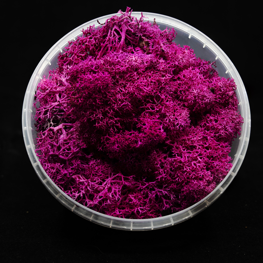 Coral Red Hedge Basing material