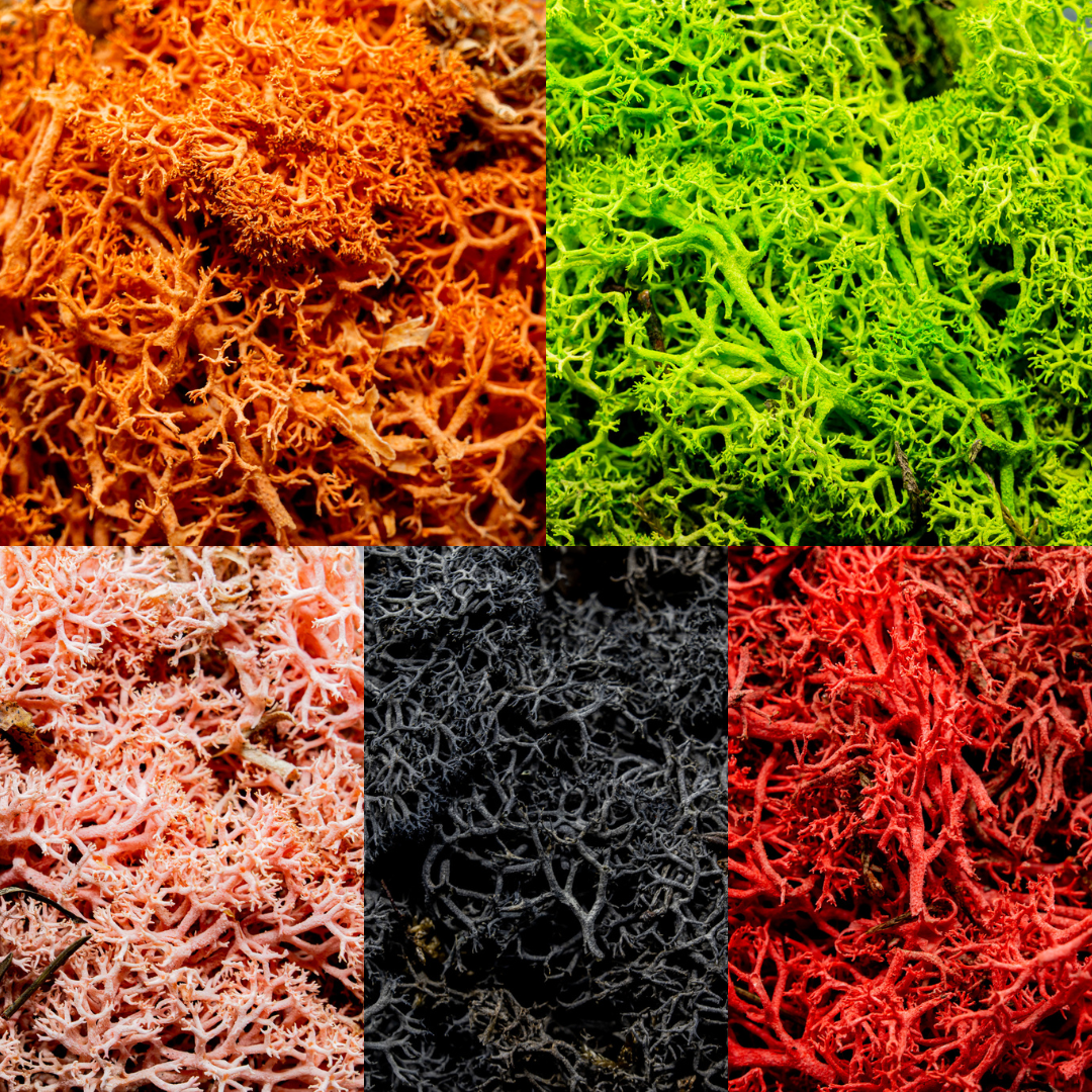 Hedge Bundle 2 Basing material