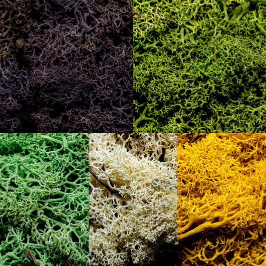 Hedge Bundle 1 Basing material